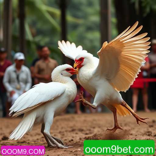 Jogos de sabong